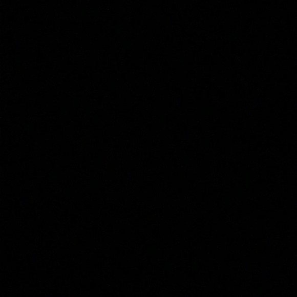 Meet your Posher, Griz - Picture 1 of 1